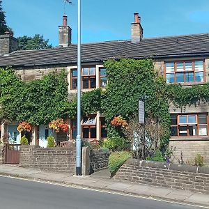 Rosebud Cottage Guest House